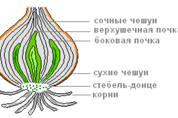 Кракен зеркало onion